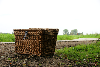 Panier d'osier 3, par Xavier E. G. Dierick